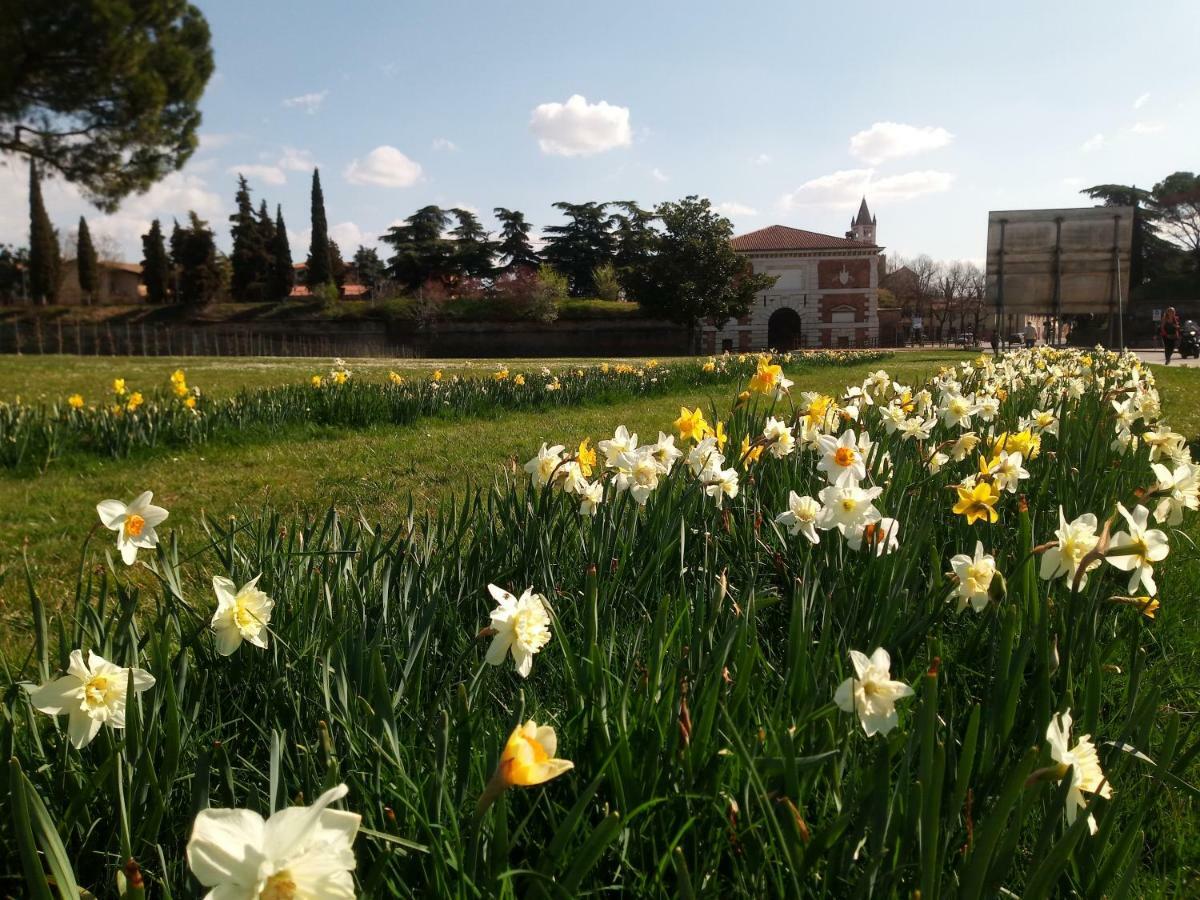 Verona Bottego Guest House Kültér fotó